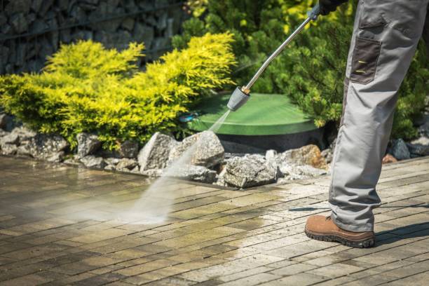 Best Warehouse Cleaning  in Fountainebleau, FL