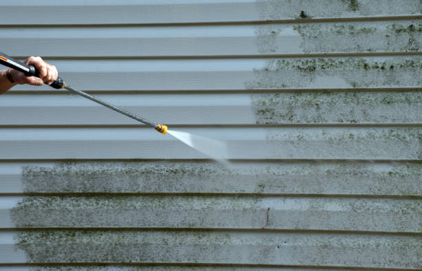 Best Solar Panel Cleaning  in Fountainebleau, FL